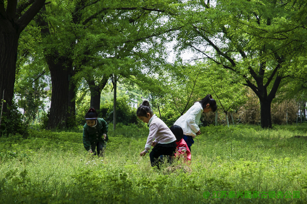 夏季风光