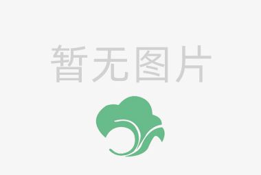 李立红：赞江苏泰兴国家古银杏公园